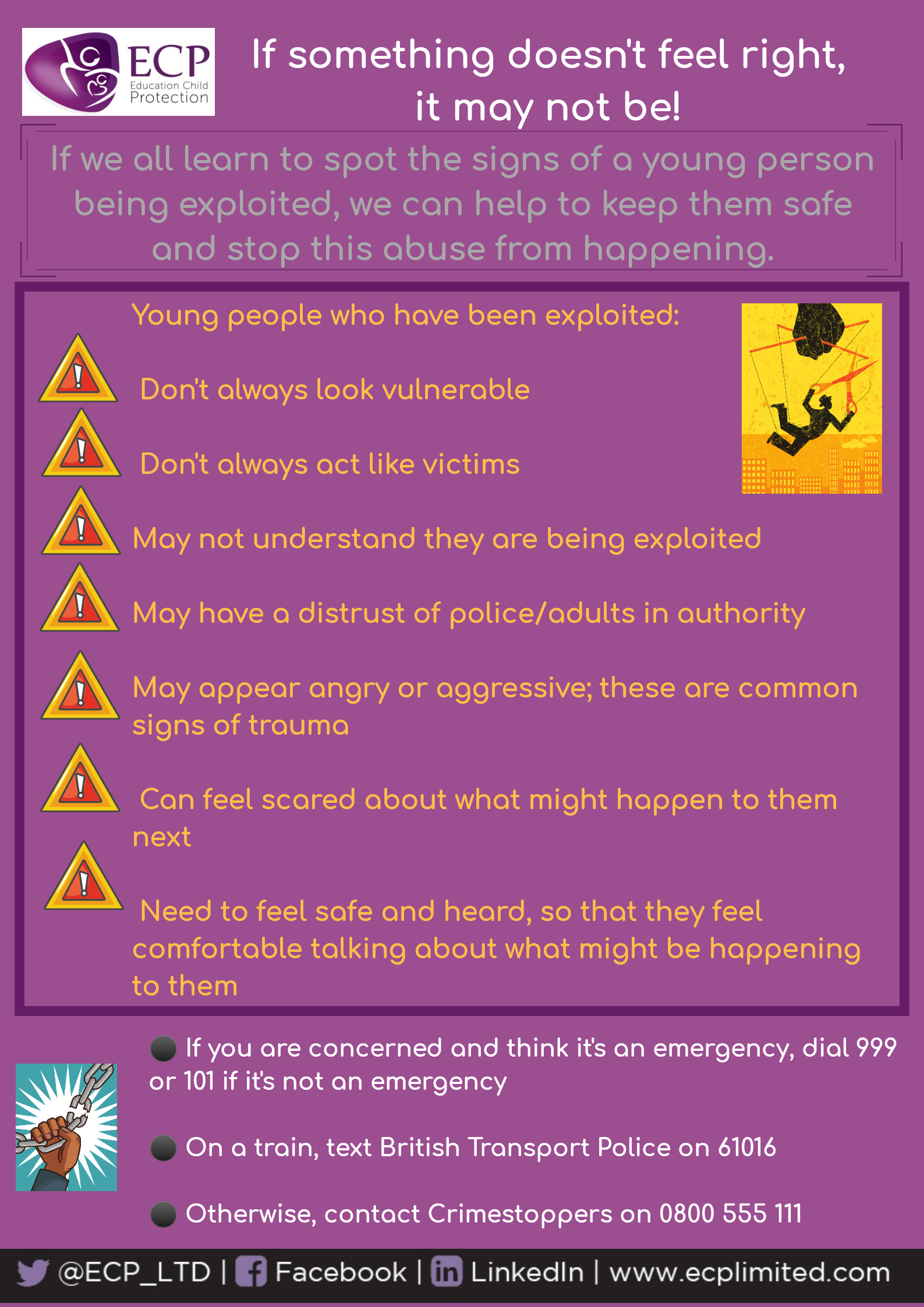 ECP Safeguarding – Training and Services